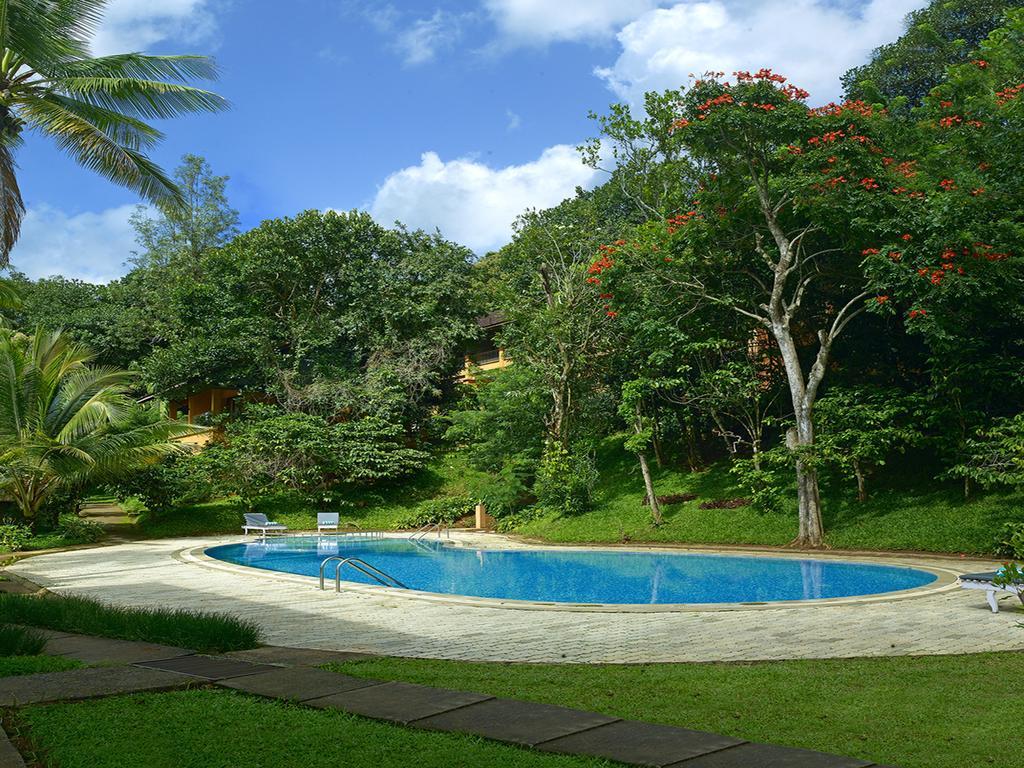 Abad Green Forest Thekkady Otel Kumily Dış mekan fotoğraf