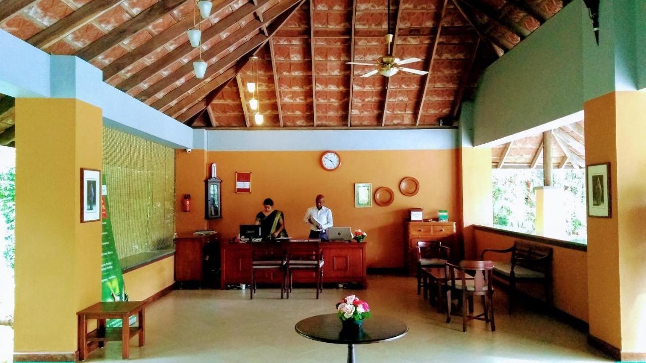 Abad Green Forest Thekkady Otel Kumily Dış mekan fotoğraf