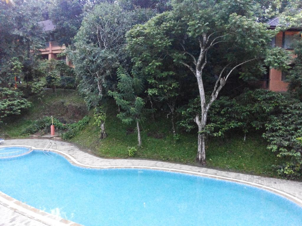 Abad Green Forest Thekkady Otel Kumily Dış mekan fotoğraf